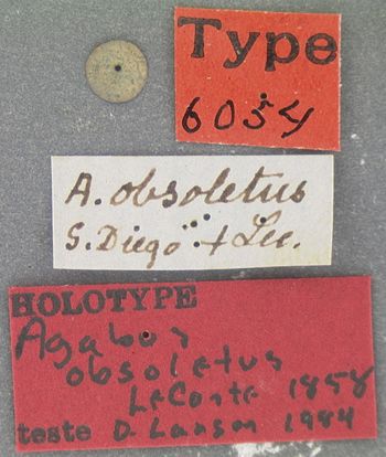 Media type: image;   Entomology 6054 Aspect: labels